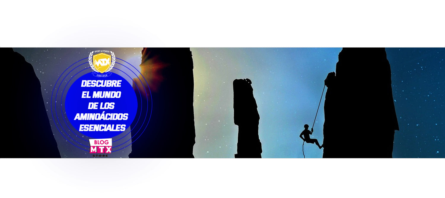 Descubre el Mundo de los Aminoácidos Esenciales