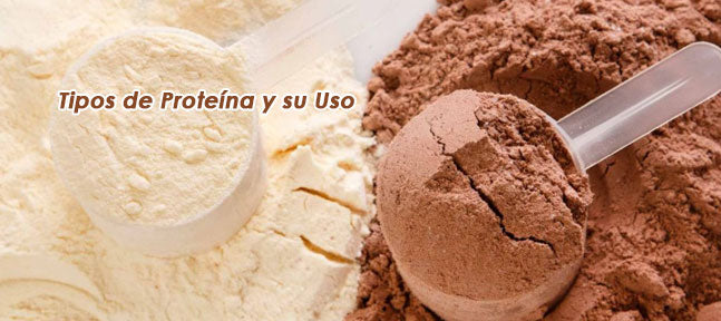 Tipos de Proteína y su Uso