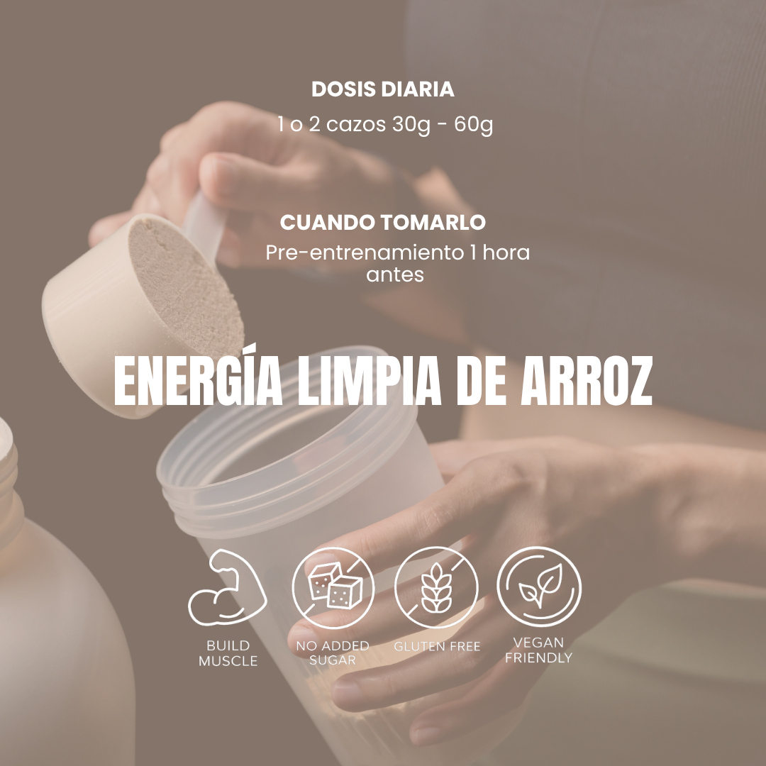 RICE Flour Harina de Arroz 1000 g