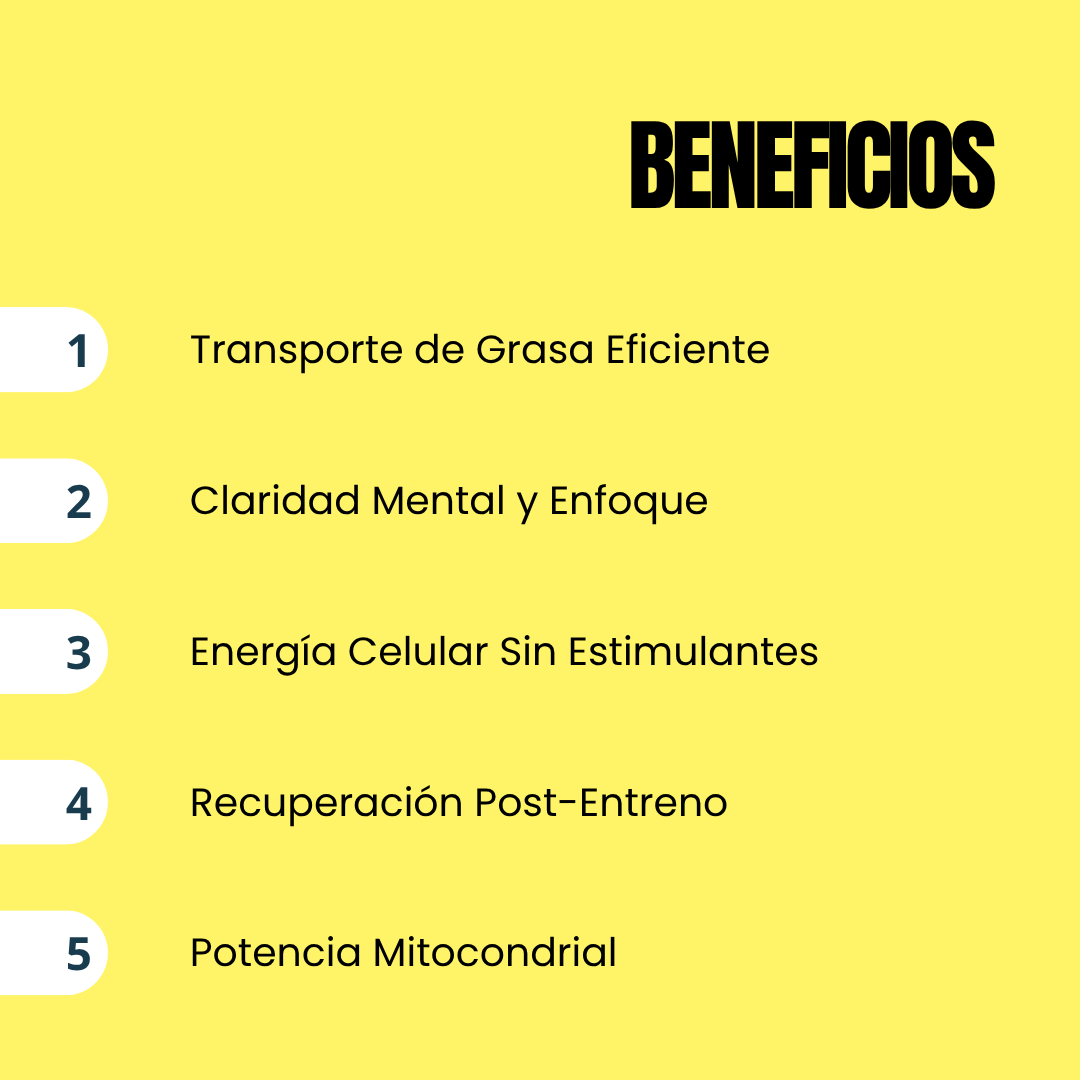 ALC PURE ™ Acetyl L.Carnitine [60CAP/698MG]