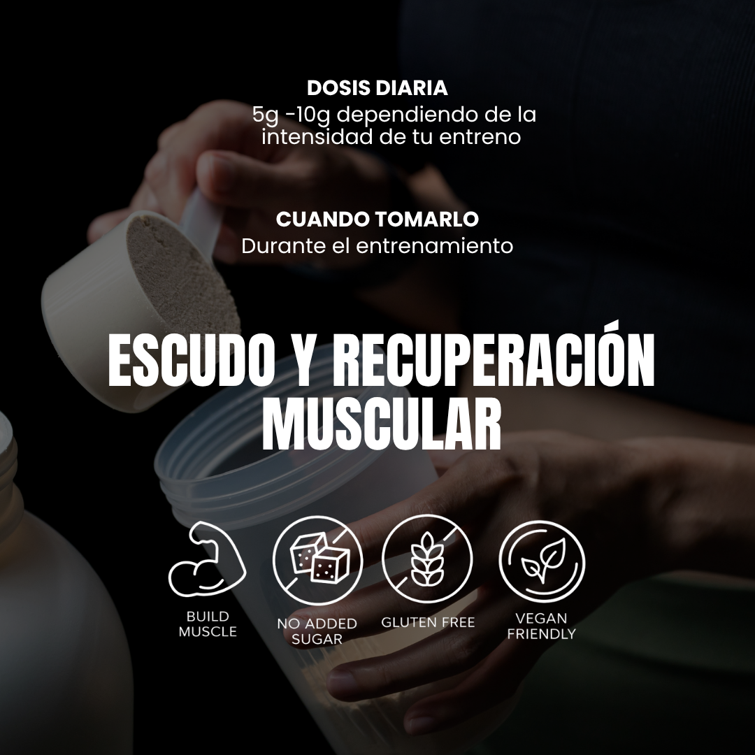 BCAA´S™ | Aminoácidos Ramificados