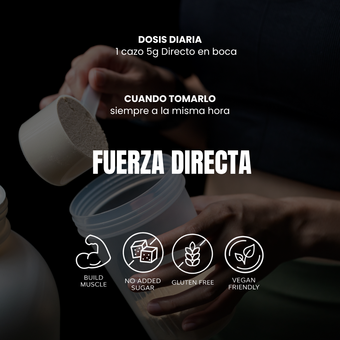 CREATINE Splash™ [300G]