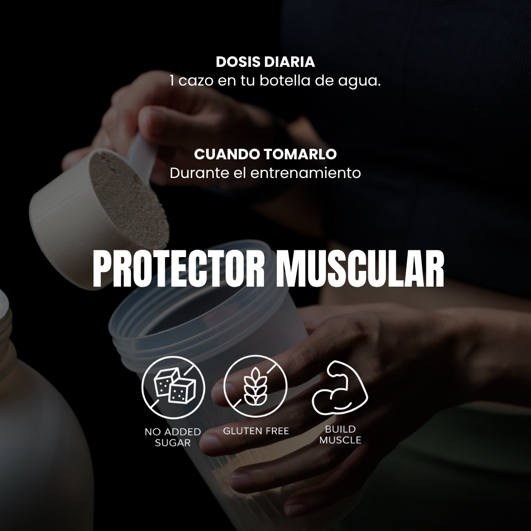 BCAAs AK 2:1:1 - 1000 g