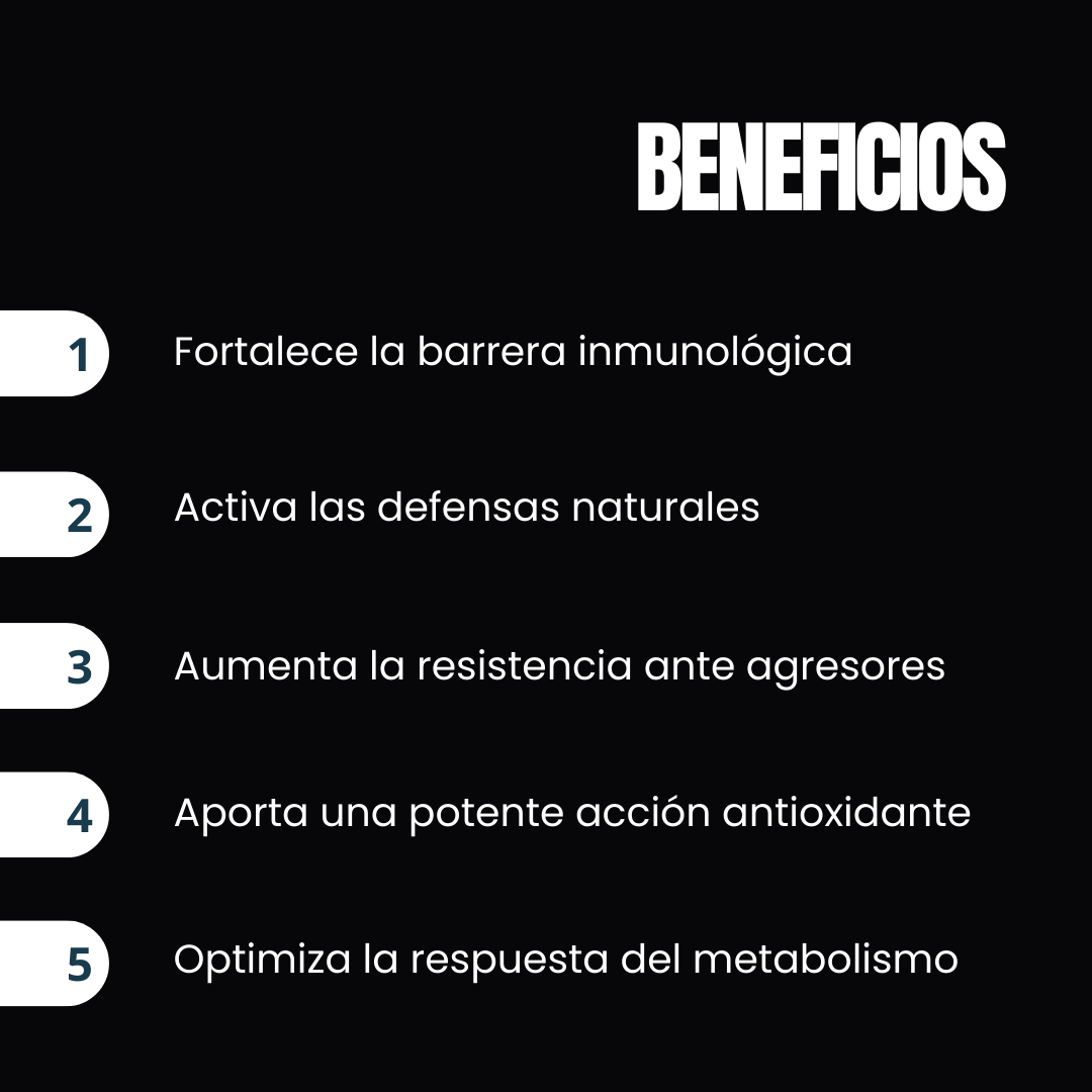 Inmunvit Refuerzo Inmune