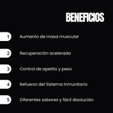 ONE Whey™ | Matriz de Proteína de Suero Concentrada (WPC)