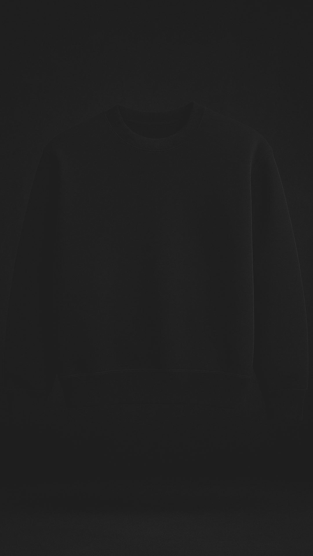 Cargar vídeo: SWEAT RAGLAN LIGHT